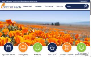 Arvin Auto Service website
