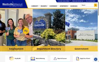 Wentzville Motors website