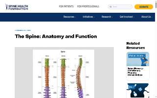 Spinal Rehabilitation Center website