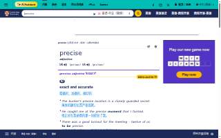 Precise Delivery website