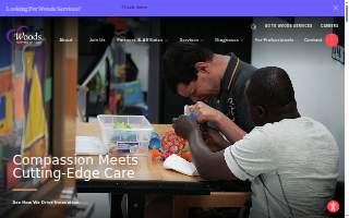 Woods Electric website
