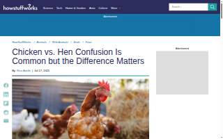 Hen House of Hattiesburg website