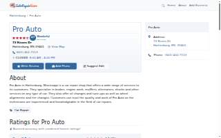 Pro Auto website