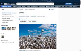 Cotton Construction website