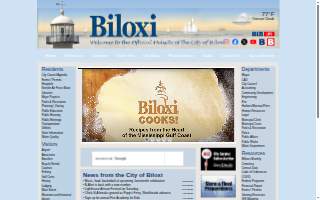 Biloxi Chiropractic Clinic website