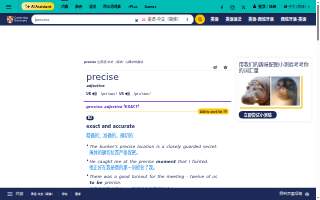 Precise Plumbing LLC website