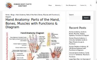 HANDS REHAB /. Florida Hand Team & Associates Miramar LLC website