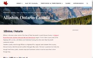 Alliston Law Office website
