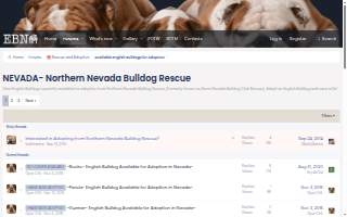 Bulldog Landscaping of Appleton website
