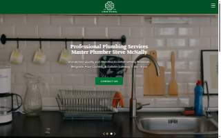 Service Plumbing Pro website