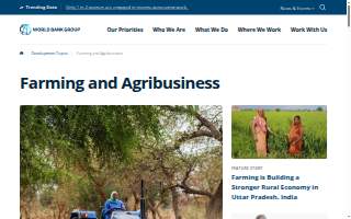 Agriculture Accounting Solutions website