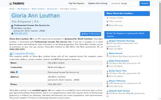 Professional Income Tax Services website