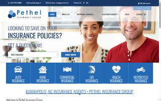 Pethel Insurance Group website
