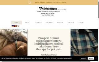 Prospect Animal Hospital website