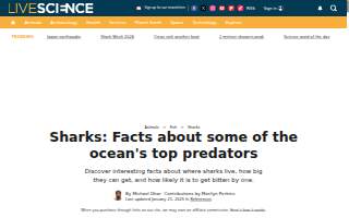 Sharks-N-Shooters website