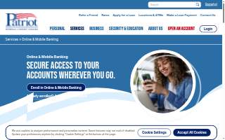 Patriot Insurance Group website