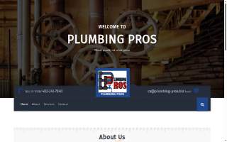 Plumbing Pros LLC website