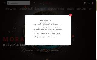 Mora Salon website