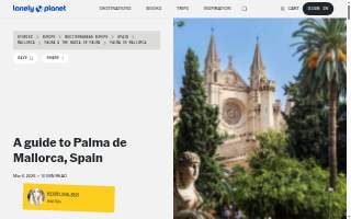 Palma's Construction website