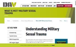 MST Transport Llc website