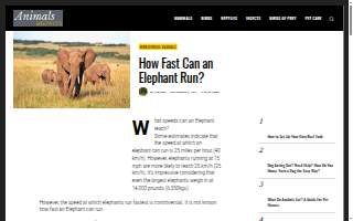 Elephant Ranch website