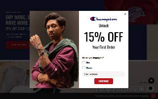 Champion Ford website