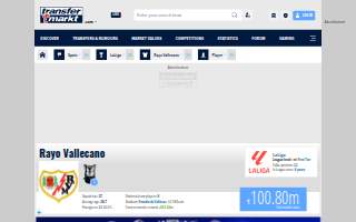 Rayo Express Income Tax website