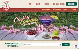 Lupe's Sewer Services website