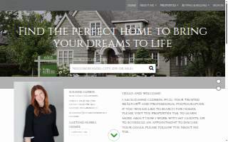 Virgin Valley Dental website