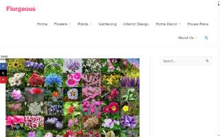 The Flower Shop Hialeah website