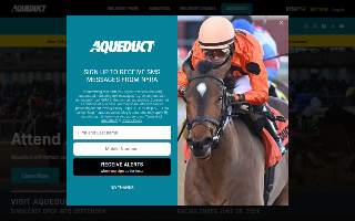 Aqueduct Animal Hospital website