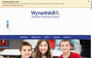 Wynantskill Chiropractic website