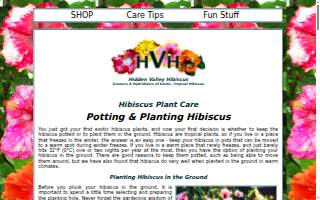 Hibiscus Women's Care of Brevard: Zylman, Patricia M MD website