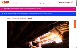 Blanding Electric Inc. website