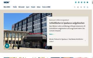 WDR Accounting & Tax Solutions website