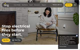 Ting Ho website