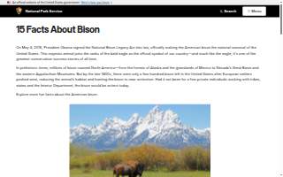 Bison Dentistry website