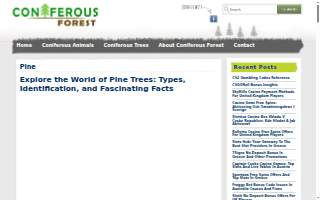 Pine Woods Animal Hospital website