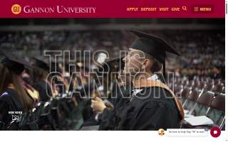 Gannon Associates Insurance website