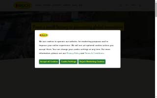 Rauch Chiropractic & Rehab website