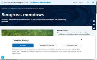 Seagrass Integrative Acupuncture website