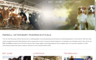 Parnell's Glass & Body Works website