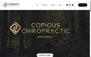 Copious Chiropractic website