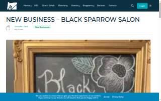 Black Sparrow Salon website