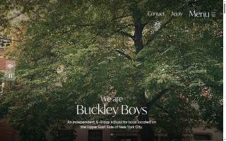 Buckley Chiropractic Center website