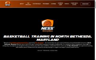 Ness Holding Co website