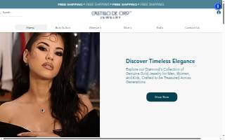 Castillo Insurance Agency website