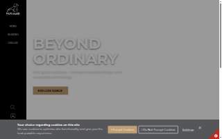 Paramo Landscaping, Inc website