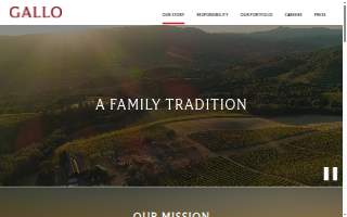 Gallo Solutions website