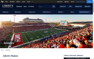 Liberty Plumbing & Sewer Inc. website
